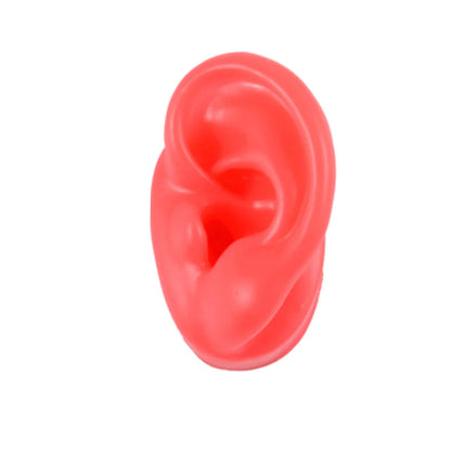 Soft Silicone Ear Model Display Stand – Tattoo Practice & Body Piercing Jewelry Holder with Acrylic Earring Display Kit for Training & Showcase