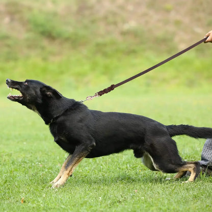 Genuine Leather Dog Leash – Braided Walking & Training Lead for Medium & Large Dogs, Brown & Black