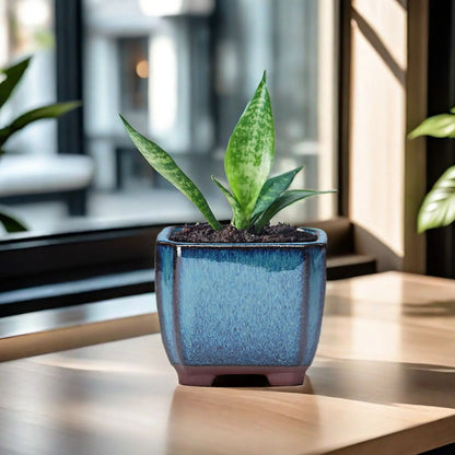 Ceramic Succulent Flower Pot - Ventilated Planter for Indoor & Outdoor Plants