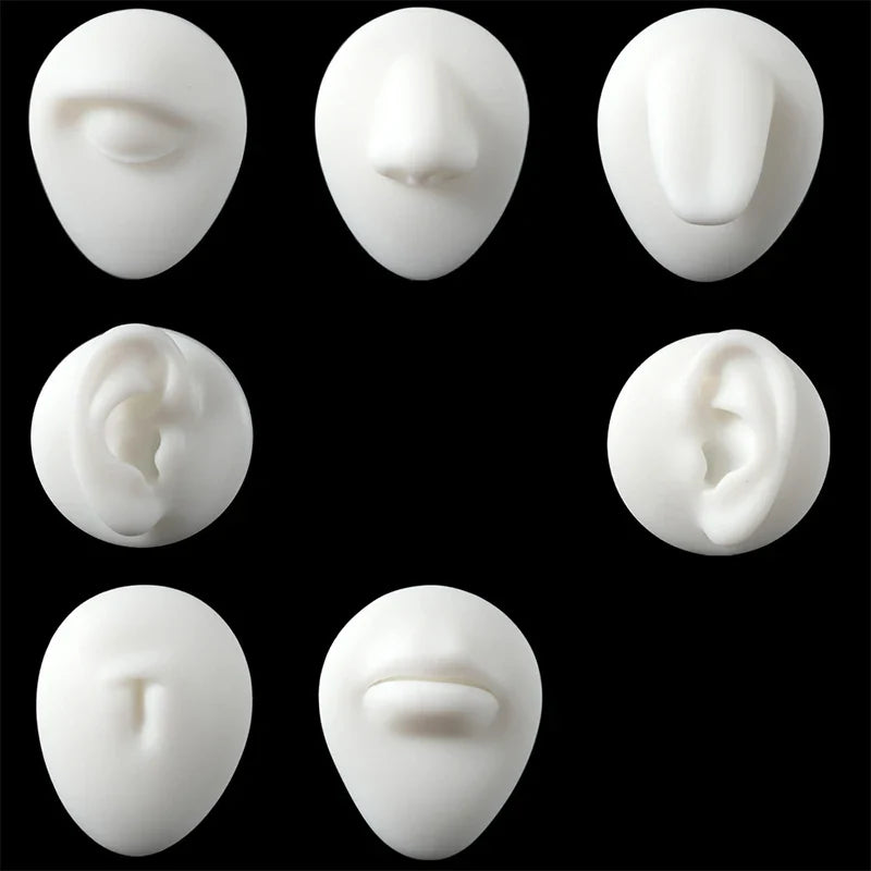 Soft Silicone 1:1 Simulation Body Piercing Practice Model – Ear, Nose, Navel & Nipple Display Stand for Jewelry Training & Teaching Accessories