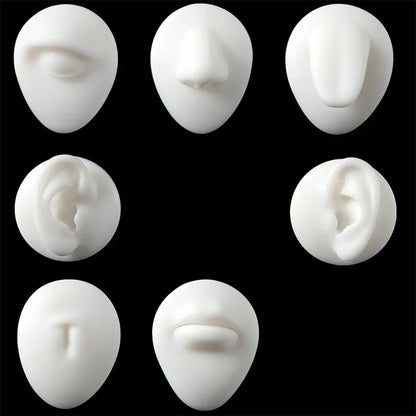 Soft Silicone 1:1 Simulation Body Piercing Practice Model – Ear, Nose, Navel & Nipple Display Stand for Jewelry Training & Teaching Accessories