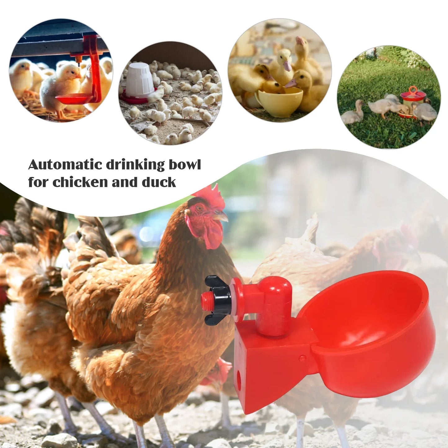 6-36Pcs Automatic Chicken Duck Drinking Cups - Plastic Poultry Farm Water Feeders for Easy Installation and Hassle-Free Drinking