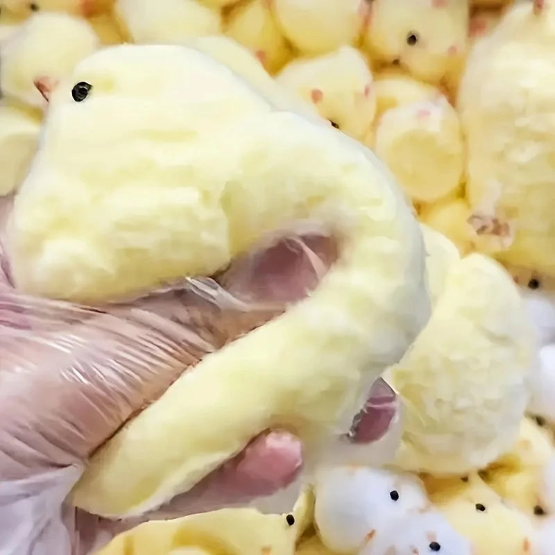 Yellow Chick Squishy Toy - Soft Squeeze Pop Fidget Stress Relief Gift for Kids & Adults