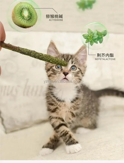 6pcs Natural Matatabi Cat Sticks - Silvervine Chew Toys for Teeth Cleaning, Mint Treats & Pet Playtime