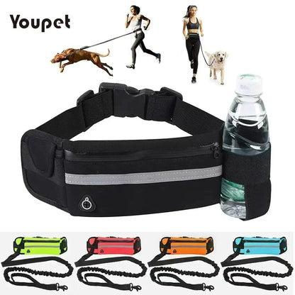 Reflective Hands-Free Dog Running Waist Leash Nylon Elastic Adjustable Pet Traction Belt with Waist Bag Retractable Control for Running & Walking