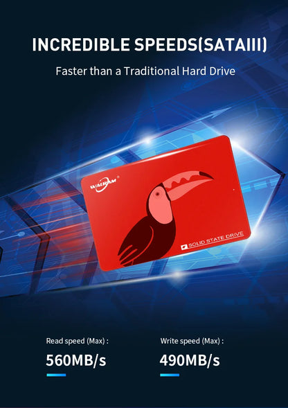 Walram SSD – 1TB, 512GB, 240GB, 256GB, 120GB, 480GB, 500GB SATA3 Solid State Drive for Desktop & Laptop