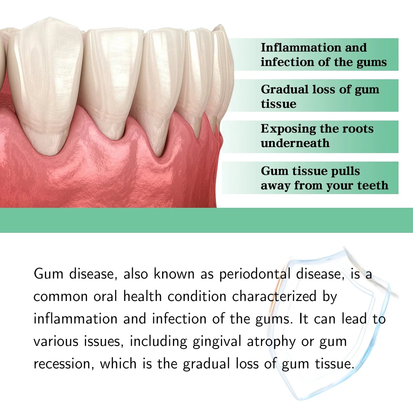 Oral Care Gum Repair Drops – Remove Yellow Stains & Support Periodontal Health