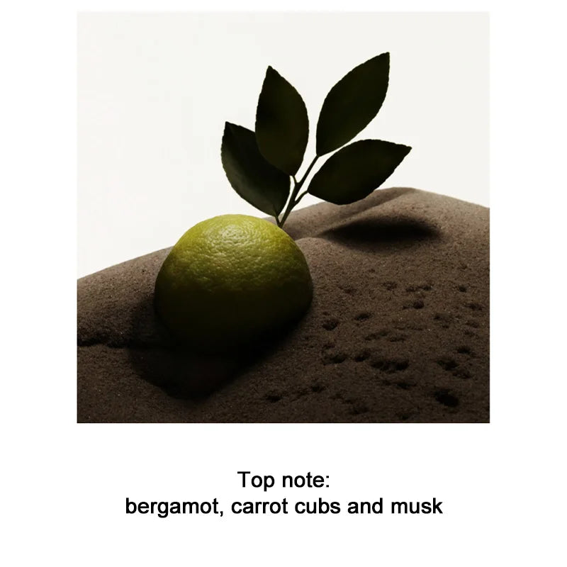 Oud Wood and Sandalwood Men's Perfume Spray - Flirting Pheromone, Long-Lasting Romance, Ideal Valentine's Day Gift
