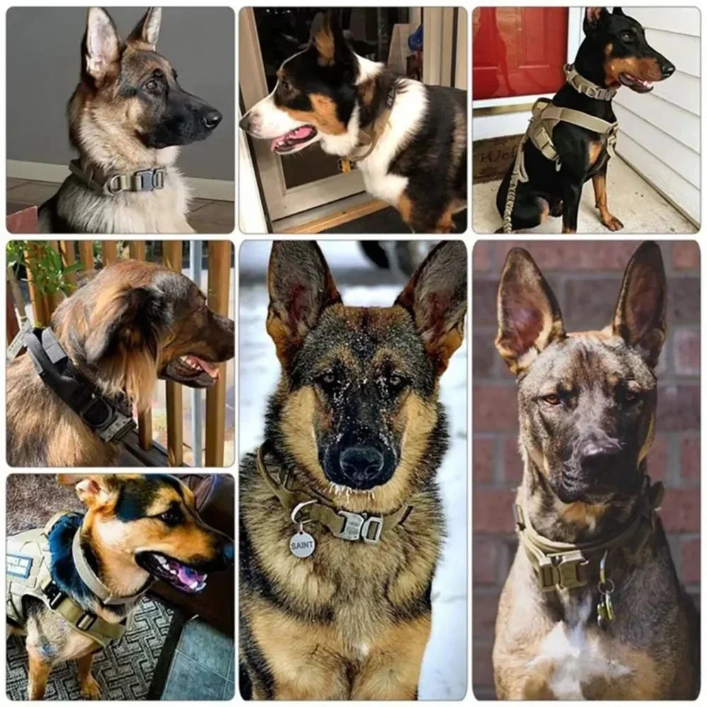 Military Tactical Dog Collar: Adjustable Nylon for Medium to Large Breeds - Durable Police K9 Gear for Walking & Training