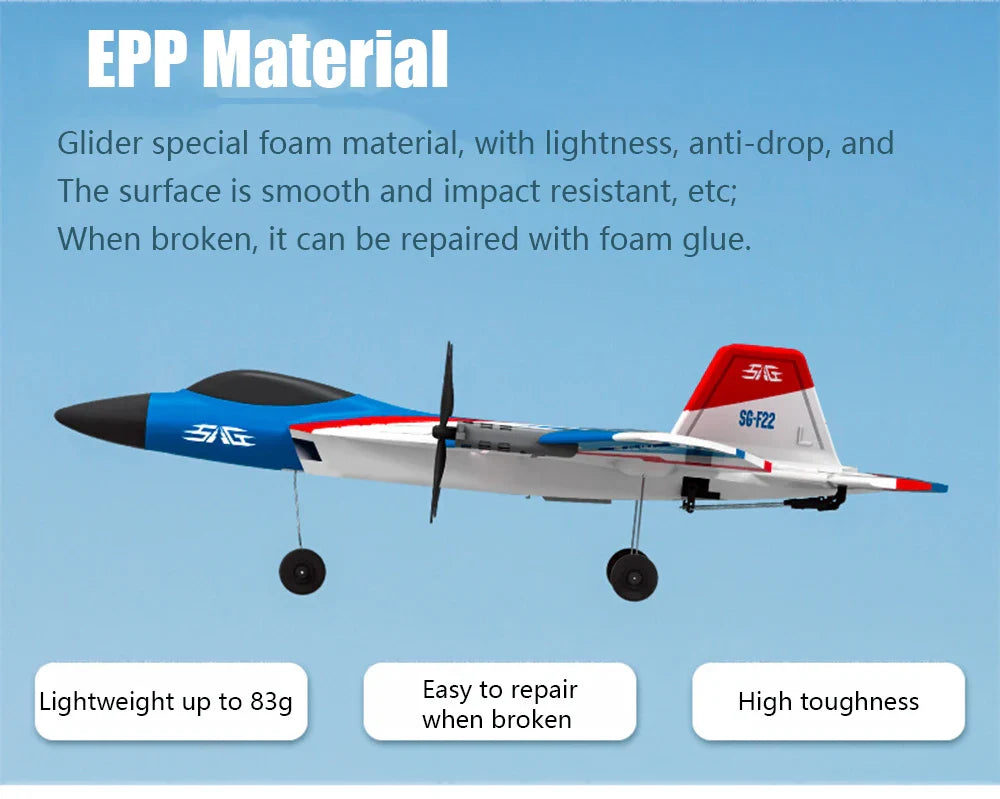 RC F22 Stunt Plane — 2.4G Remote Control 3D Glider Airplane EPP Foam Toy for Kids