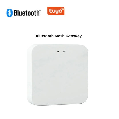 Tuya/TTlock Smart Password Key Box – Outdoor IP65 Waterproof Anti-Theft Wall Mount Security Safe in ABS/Metal
