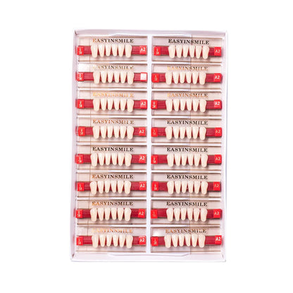 16/12 Set Dental Denture Teeth Model Kit, Upper & Lower Anterior Synthetic Polymer Teeth A2 A3 for Dental Education & Training