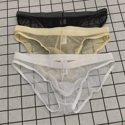 Ultra-Thin Transparent Mesh Men's Briefs - Quick-Dry See-Through Underwear Plus Size