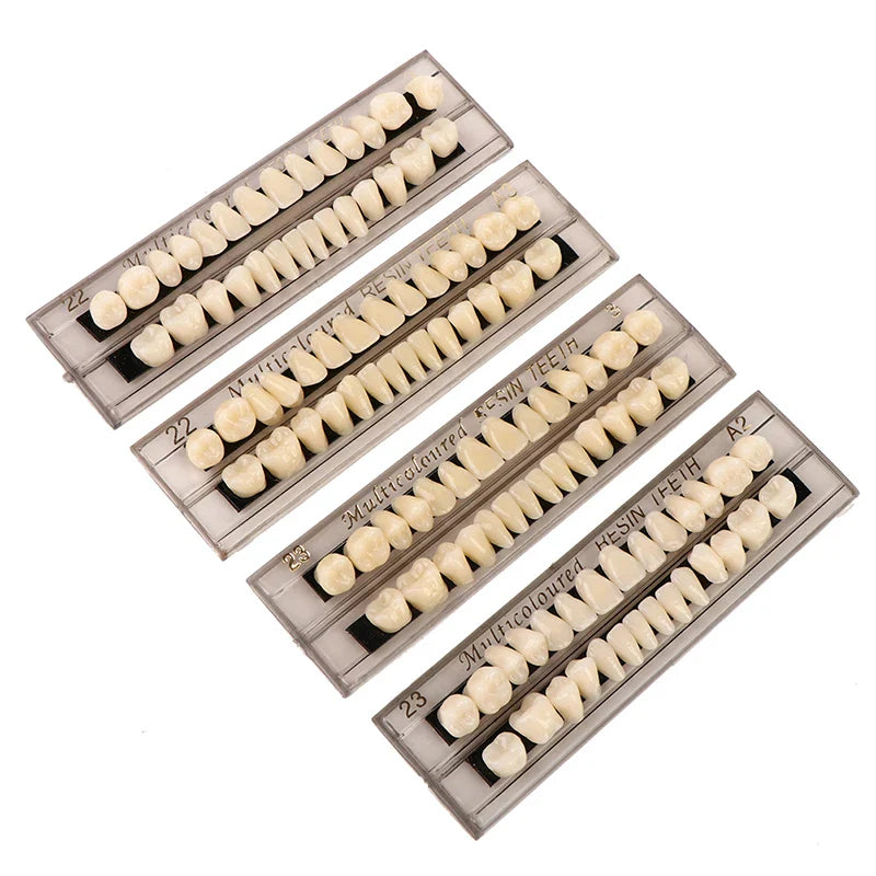28-Teeth Resin Denture Comparator – Dental Mirror & Bleaching Plate for Dentistry Education & Research