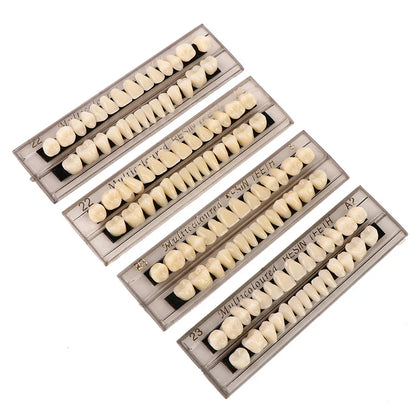 28-Teeth Resin Denture Comparator – Dental Mirror & Bleaching Plate for Dentistry Education & Research