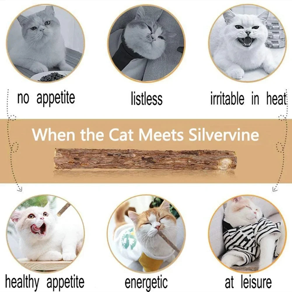 15Pcs Natural Matatabi Catnip Chew Sticks for Cats & Kittens – Silvervine Teeth Cleaning Molar Toy Pet Treat Set