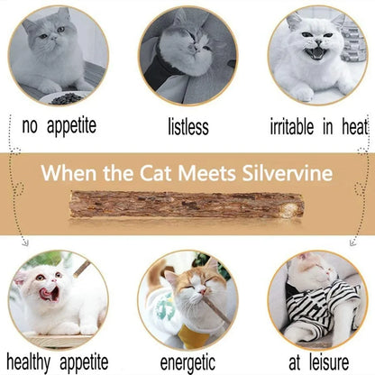 15Pcs Natural Matatabi Catnip Chew Sticks for Cats & Kittens – Silvervine Teeth Cleaning Molar Toy Pet Treat Set