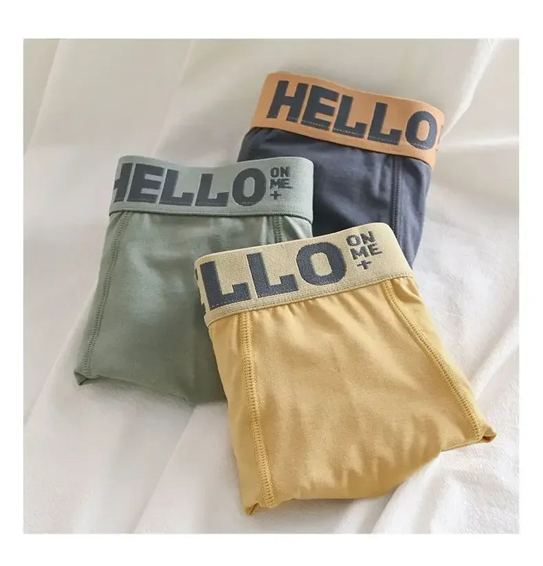 Pokemon Anime Men's Boxer Briefs — Charmander, Charizard, Bulbasaur, Gengar & Pikachu Antibacterial Underwear Shorts Gift