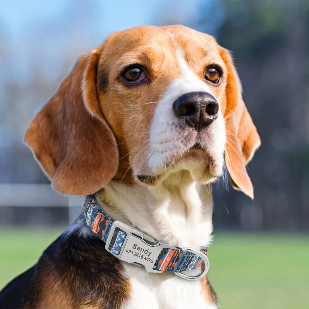 Adjustable Nylon Dog & Cat Collar – Personalized ID Collar with Engraved Name Buckle, Anti-Lost for Small, Medium & Large Pets