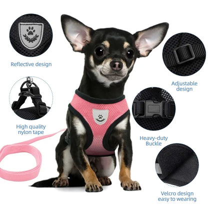 Adjustable Mesh Cat Harness Vest: Walking Lead Leash for Puppy Dogs - Polyester Collar for Small to Medium Pets, Pet Accessories