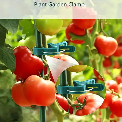 50/20/10pcs Adjustable Plant Clips – Reusable Plastic Garden Supports for Flowers, Vines, Vegetables & Tomatoes