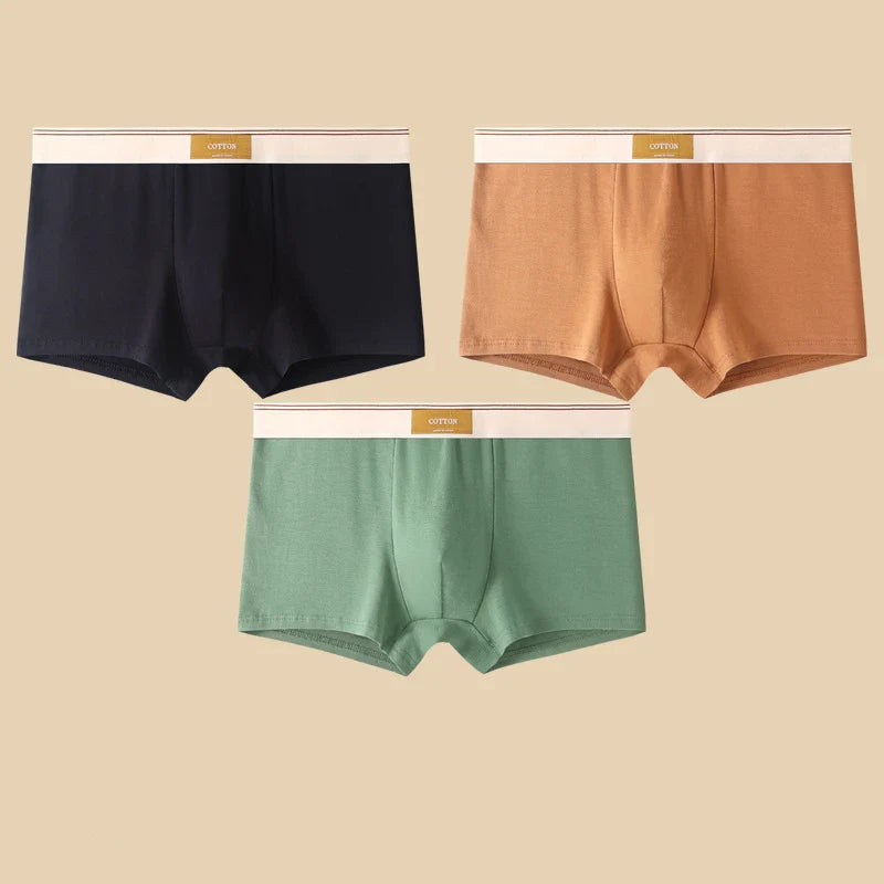 3PCS Men’s Cotton Boxer Shorts – Comfortable Breathable Solid Color Underwear Set for Everyday Wear & Sports Comfort