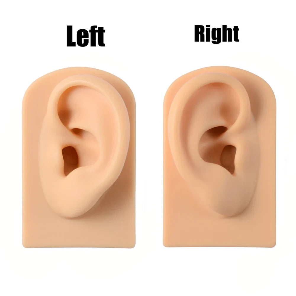 Soft Silicone Ear Nose Mouth Practice Model – Tattoo & Piercing Jewelry Display Stand with Acrylic Earring Holder Kit for Training & Showcase