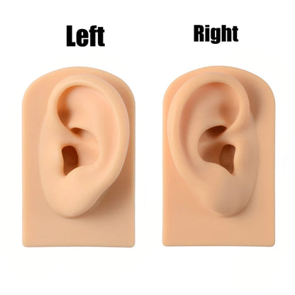Soft Silicone Ear Nose Mouth Practice Model – Tattoo & Piercing Jewelry Display Stand with Acrylic Earring Holder Kit for Training & Showcase