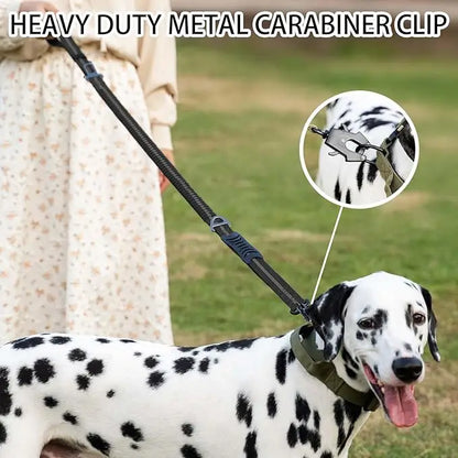 Reflective Shock Absorbing Bungee Dog Leash with Car Seatbelt – Heavy Duty No-Pull Leash for Large Dogs