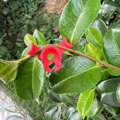 Plastic Plant Support Pile Frame Greenhouse Indoor Flower Plant Bracket | Plant Bender Training Clips | Available in 15/30/60/120PCS