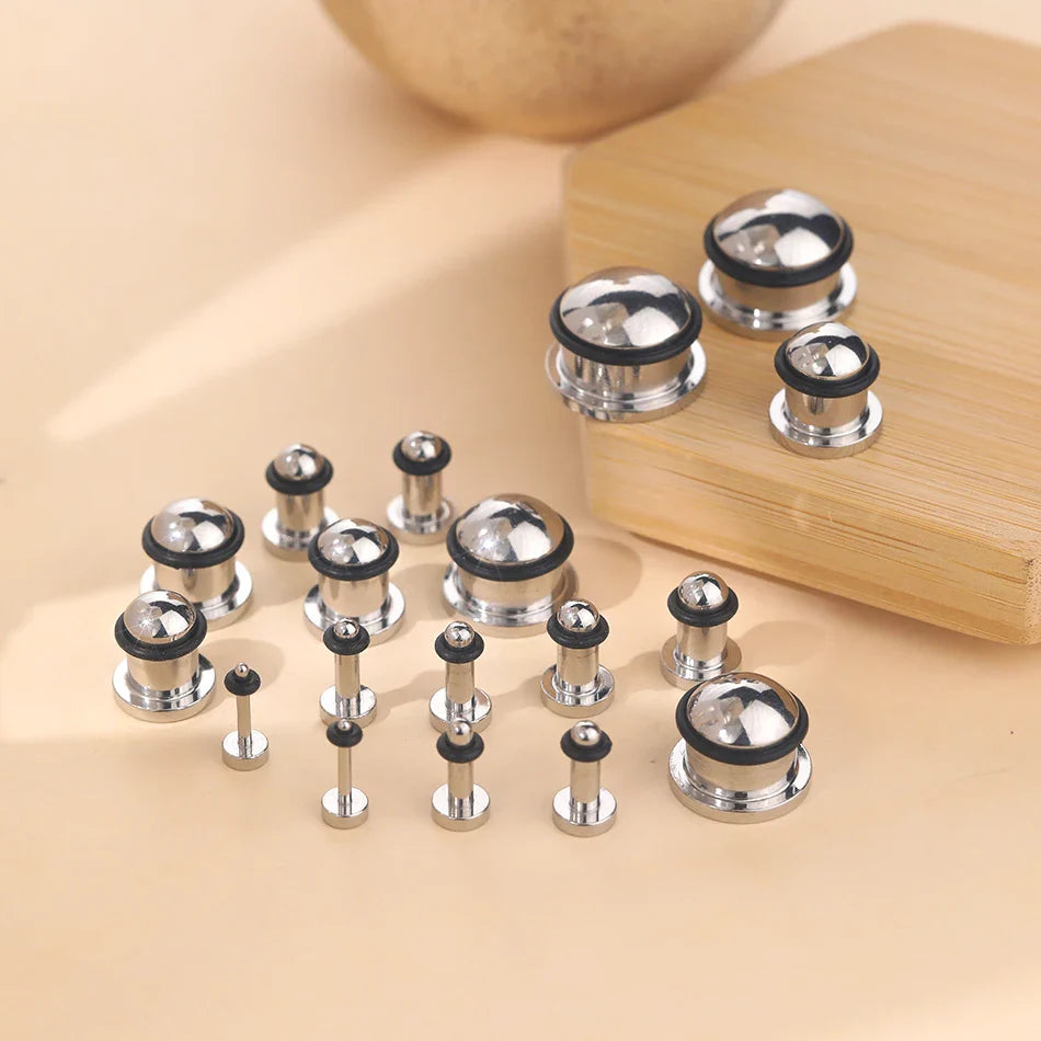 2PCS Stainless Steel Ear Plugs & Tunnels — 1.6-16mm Silver Ear Gauge Stretching Kit for Men & Women