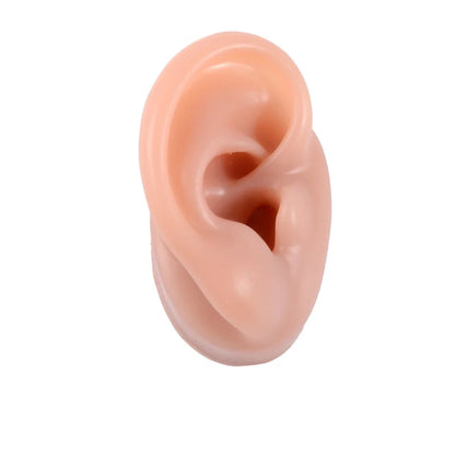 Soft Silicone Ear Model Display Stand – Tattoo Practice & Body Piercing Jewelry Holder with Acrylic Earring Display Kit for Training & Showcase