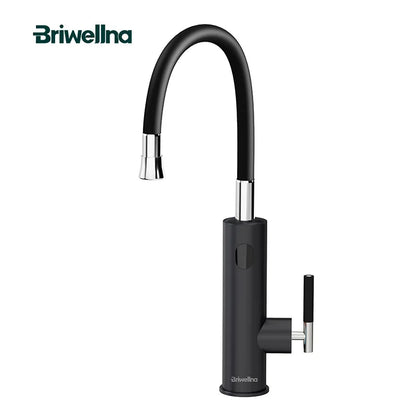 Briwellna 2-in-1 Electric Water Heater Faucet - Stainless Steel Universal Spout Kitchen Tap, 220V Heating Tap