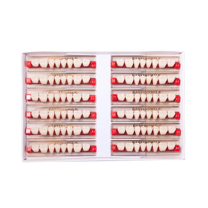 16/12 Set Dental Denture Teeth Model Kit, Upper & Lower Anterior Synthetic Polymer Teeth A2 A3 for Dental Education & Training