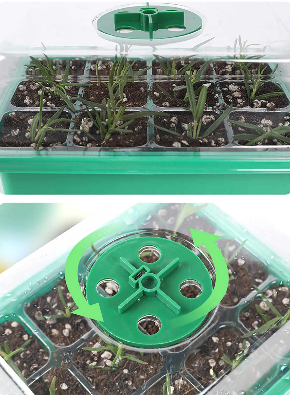 Seed Starter Tray Box with LED Grow Light - Adjustable Ventilation and Humidity, Nursery Pot Seedling Germination Planter, 6/12/13 Cell