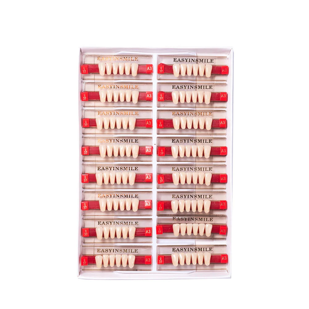16/12 Set Dental Denture Teeth Model Kit, Upper & Lower Anterior Synthetic Polymer Teeth A2 A3 for Dental Education & Training