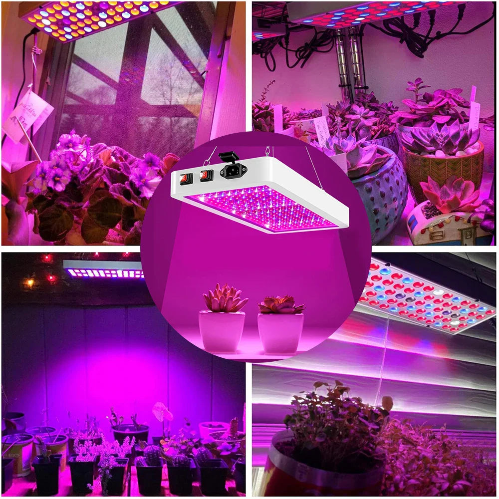 25W-80W Full Spectrum Grow Plant Lights: 81-312LED Greenhouse Growing Lamp for Indoor Plants - Ideal for Veg, Hydroponic, and Phytolamp Use (US/EU/UK)