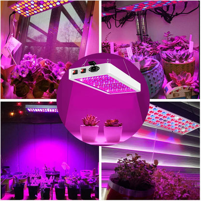 25W-80W Full Spectrum Grow Plant Lights: 81-312LED Greenhouse Growing Lamp for Indoor Plants - Ideal for Veg, Hydroponic, and Phytolamp Use (US/EU/UK)