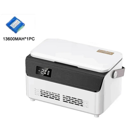 Double Insulin Mini Cooler Box – Portable Medicine Refrigerator with 13600mAh Battery for Travel & Car