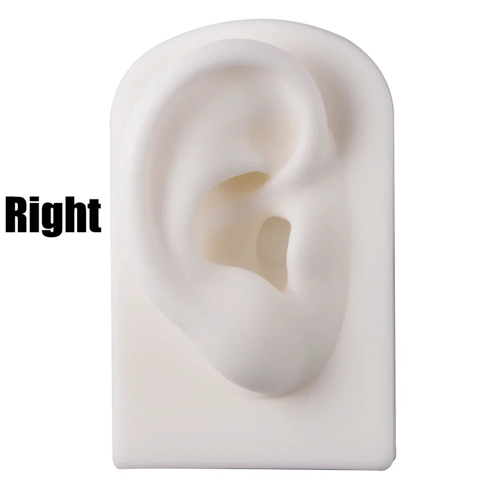 Soft Silicone Ear Nose Mouth Practice Model – Tattoo & Piercing Jewelry Display Stand with Acrylic Earring Holder Kit for Training & Showcase