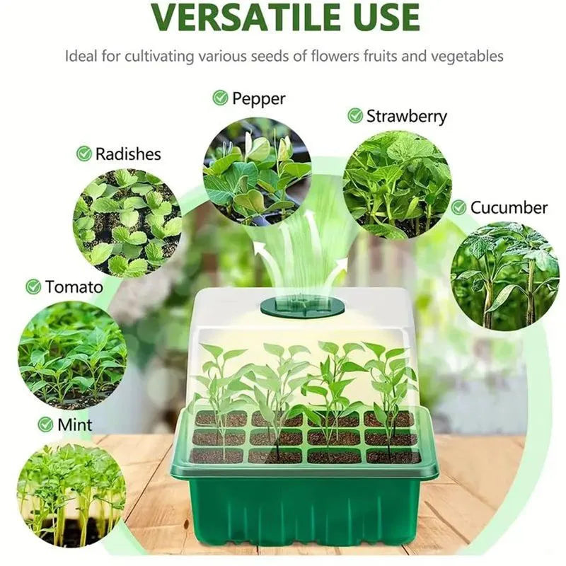 12-Well Plastic Seedling Tray | Insulated Pot for Succulent & Seed Sowing