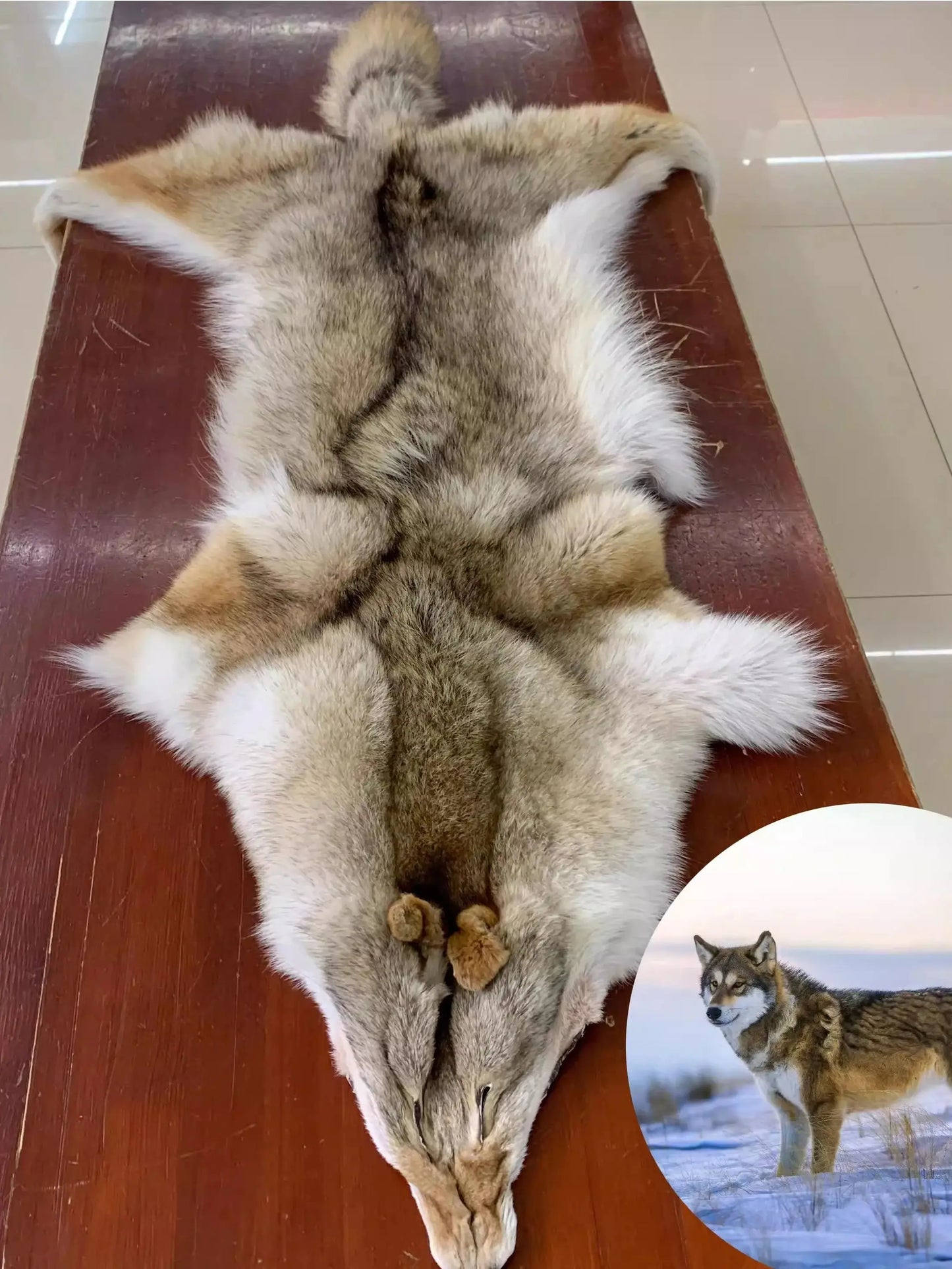 Coyote Fur Blanket - Large Full-Size Plush Throw for Car Seats, Sofas & Decor