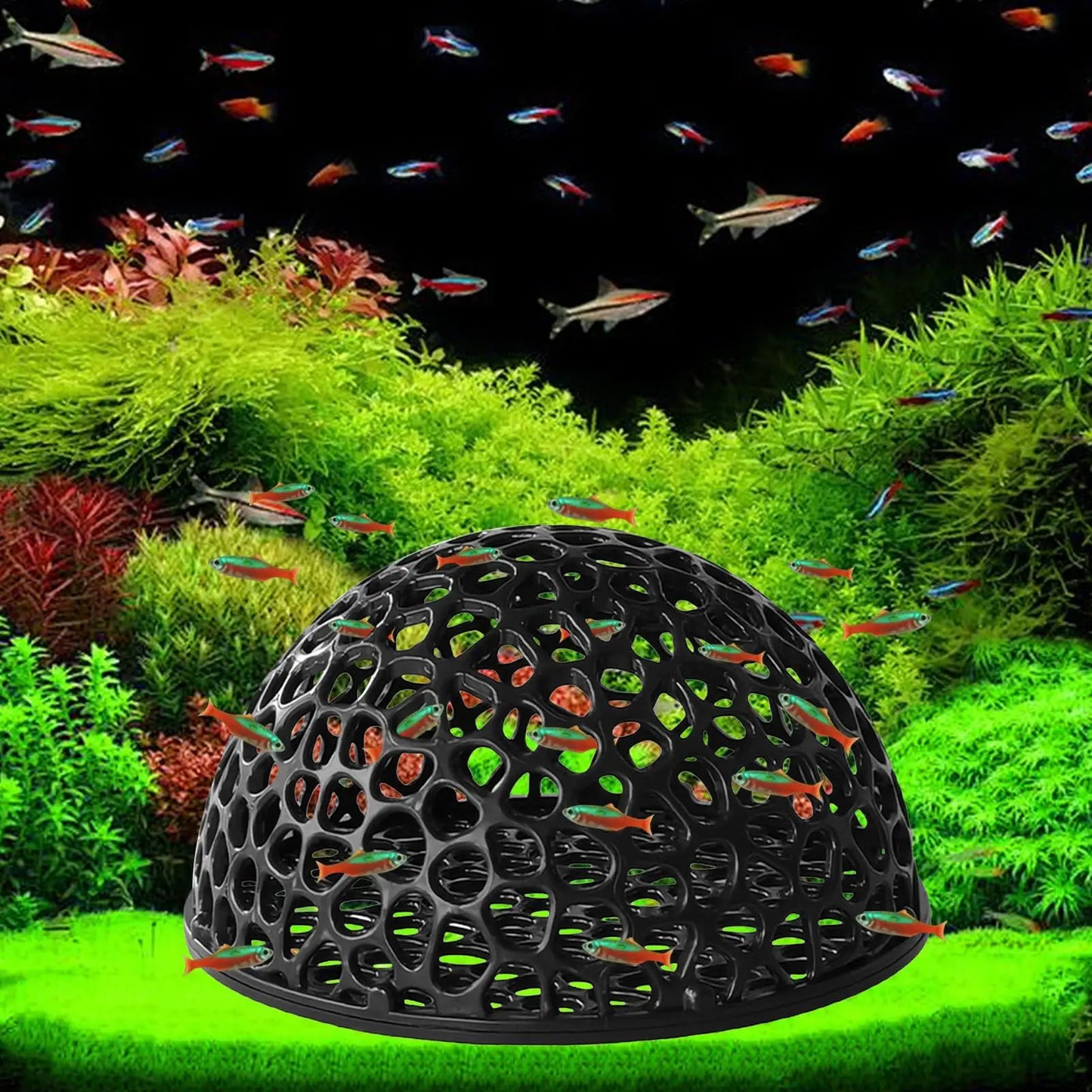 Aquarium Shrimp House Cave – Mini Porous Betta & Shrimp Shelter for Hiding, Breeding, and Aquatic Decor