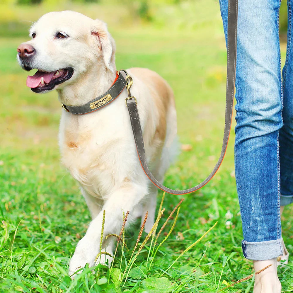 Customized Leather Dog Collar & Leash Set – Soft Padded Adjustable Collar for Small, Medium & Large Dogs with Engraved Nameplate
