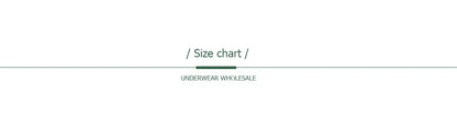 5-Pack Women’s Low Rise Lace Panties — Sexy Cotton Lingerie Briefs