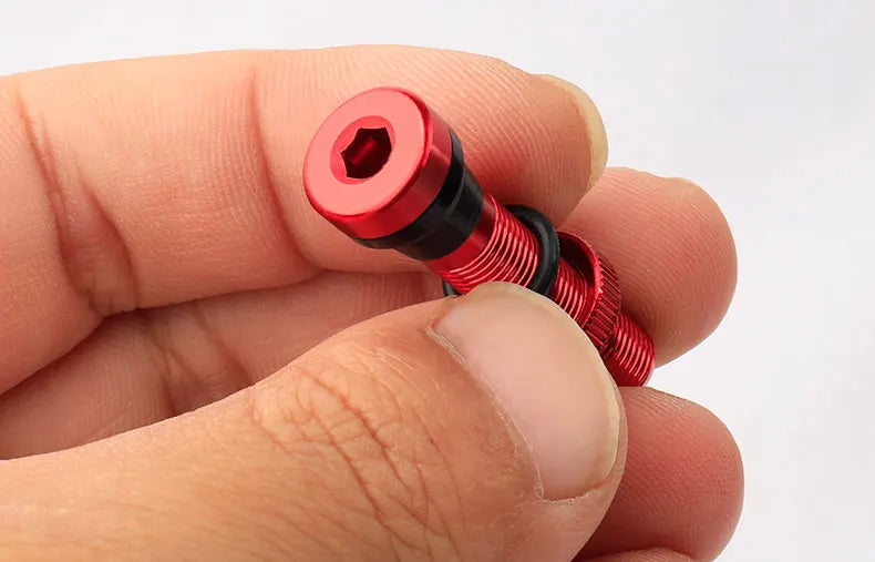 Deemount 2PCS Bicycle Tubeless Schrader Valves — Brass Core CNC Anodized MTB & Road Bike Rim Nipple