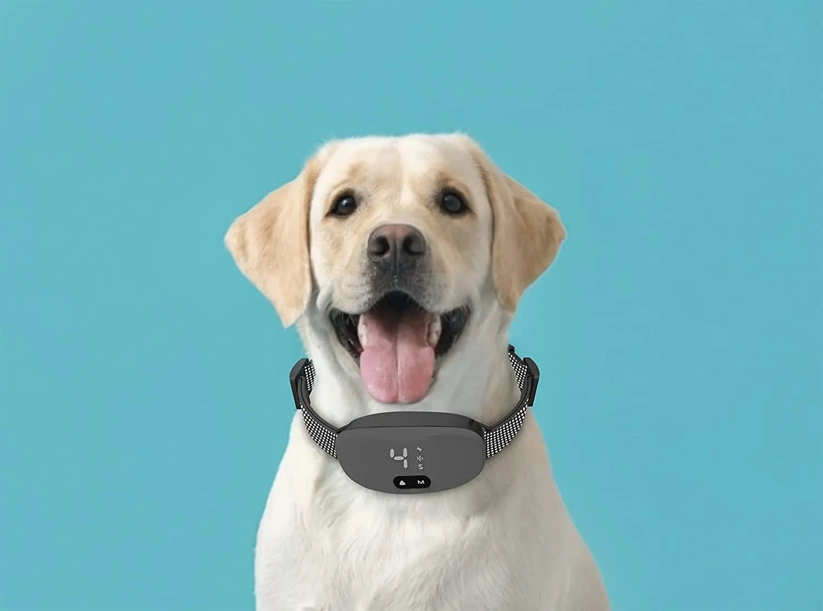 LED Anti-Bark Dog Training Collar with Sound & Vibration Modes Adjustable Bark Control for Small, Medium & Large Dogs Rechargeable Pet Training Accessory