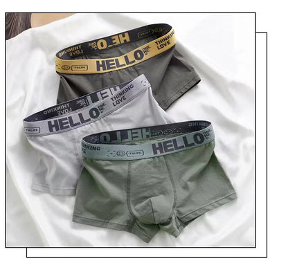 10PCS Men's Mid-Waist Boxers – Breathable, Lightweight Underwear Set in Multiple Colors