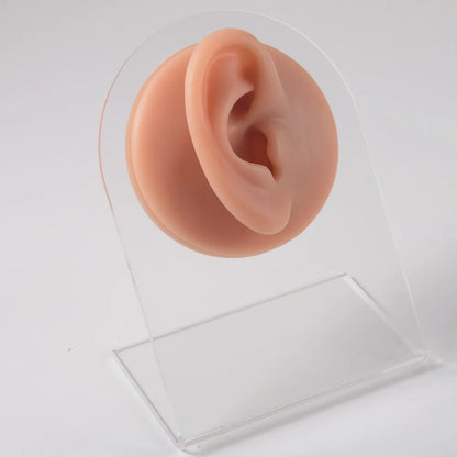 Soft Silicone 1:1 Simulation Body Piercing Practice Model – Ear, Nose, Navel & Nipple Display Stand for Jewelry Training & Teaching Accessories