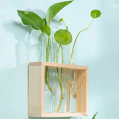 Wooden Frame Hydroponic Plants Container - Transparent Glass Test Tube Vase for Home Tabletop Bonsai Decor - Unique Crafts & Decorations